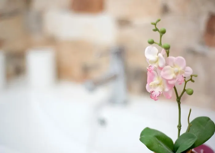 El Lagar בית נופש לוס סילוס